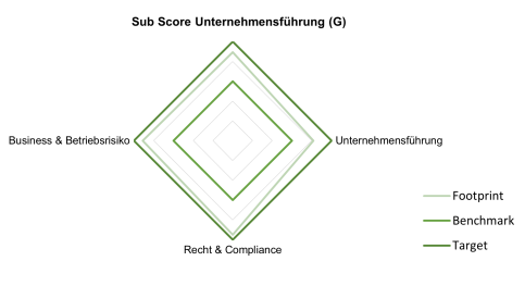 Footprint: Der effektiv erreichte Wert der Organisation. Benchmark: Der Durchschnittswert vergleichbarer Organisationen. Target: Der theoretische Ideal‑ bzw. Spitzenwert, der erreicht werden kann.