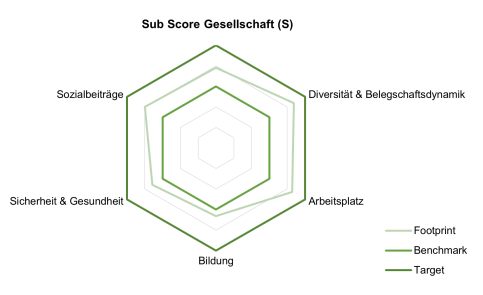 Footprint: Der effektiv erreichte Wert der Organisation. Benchmark: Der Durchschnittswert vergleichbarer Organisationen. Target: Der theoretische Ideal‑ bzw. Spitzenwert, der erreicht werden kann.